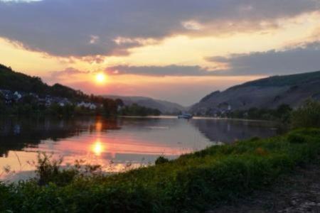 Gastehaus Sabine Hotel Zell an der Mosel Luaran gambar