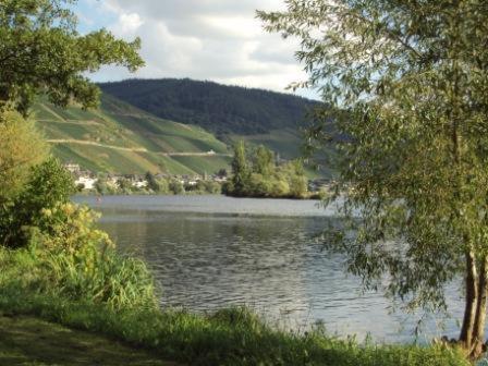 Gastehaus Sabine Hotel Zell an der Mosel Luaran gambar